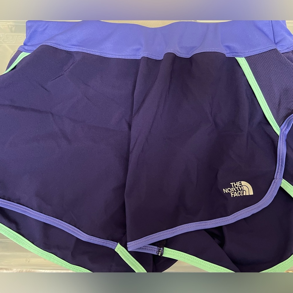 The North Face Shorts